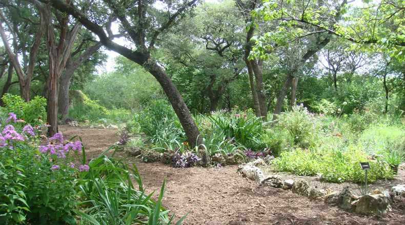 MAYFIELD PARK
