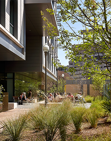 UNIVERSITY OF TEXAS LIBERAL ARTS BUILDING