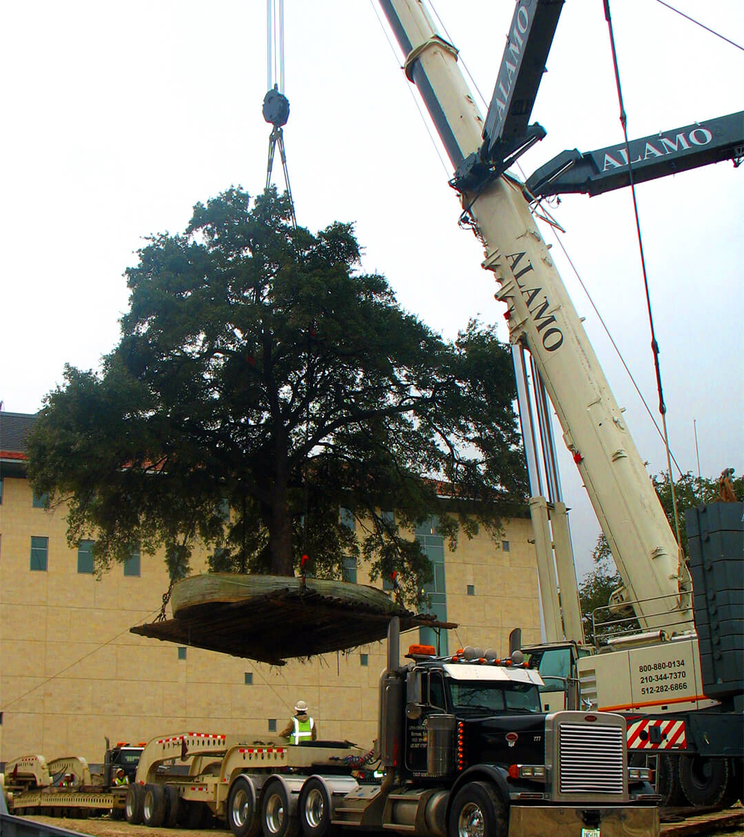 UNIVERSITY OF TEXAS LIBERAL ARTS BUILDING