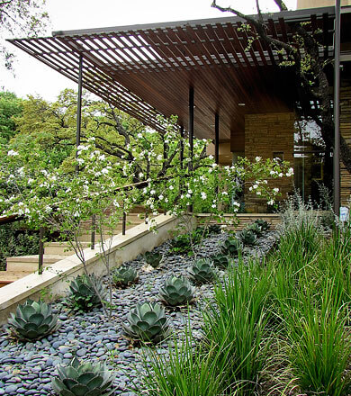 WEST AUSTIN RESIDENCE D