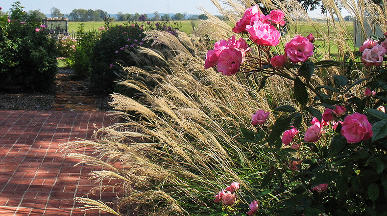BASTROP FARM
