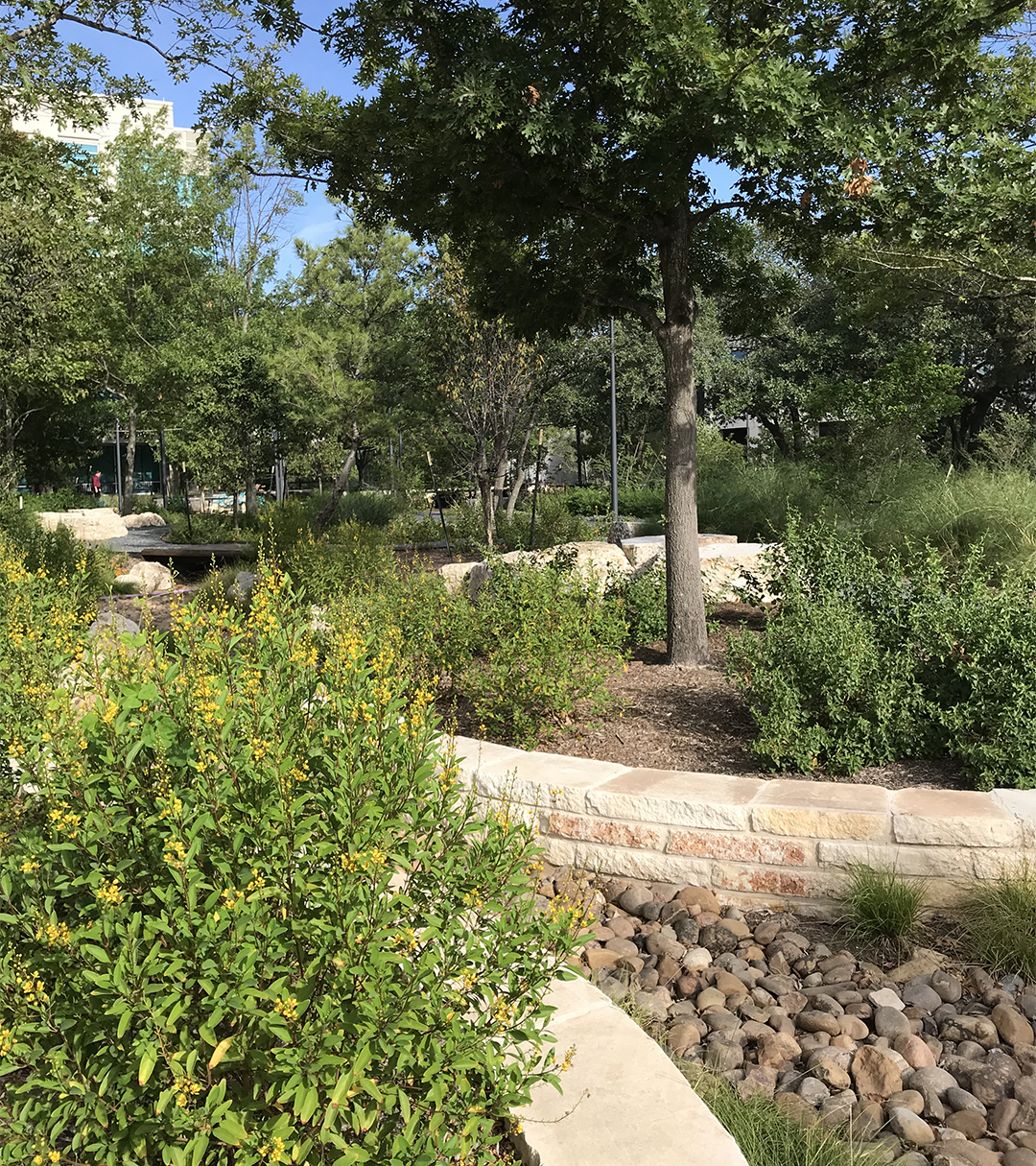 CHARLES SCHWAB CORPORATE CAMPUS, AUSTIN, TX