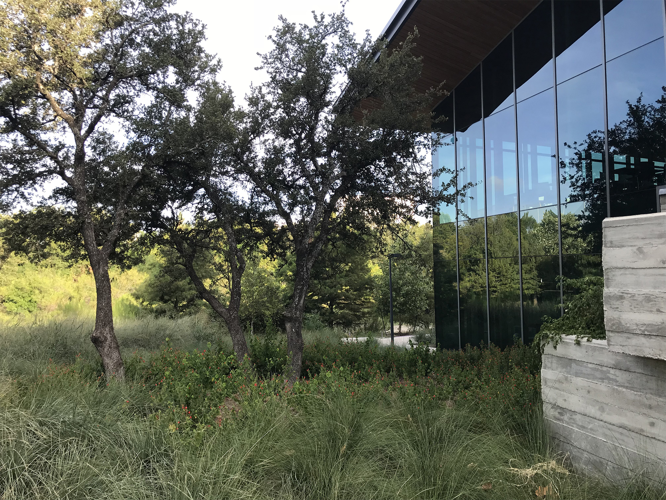 CHARLES SCHWAB CORPORATE CAMPUS, AUSTIN, TX